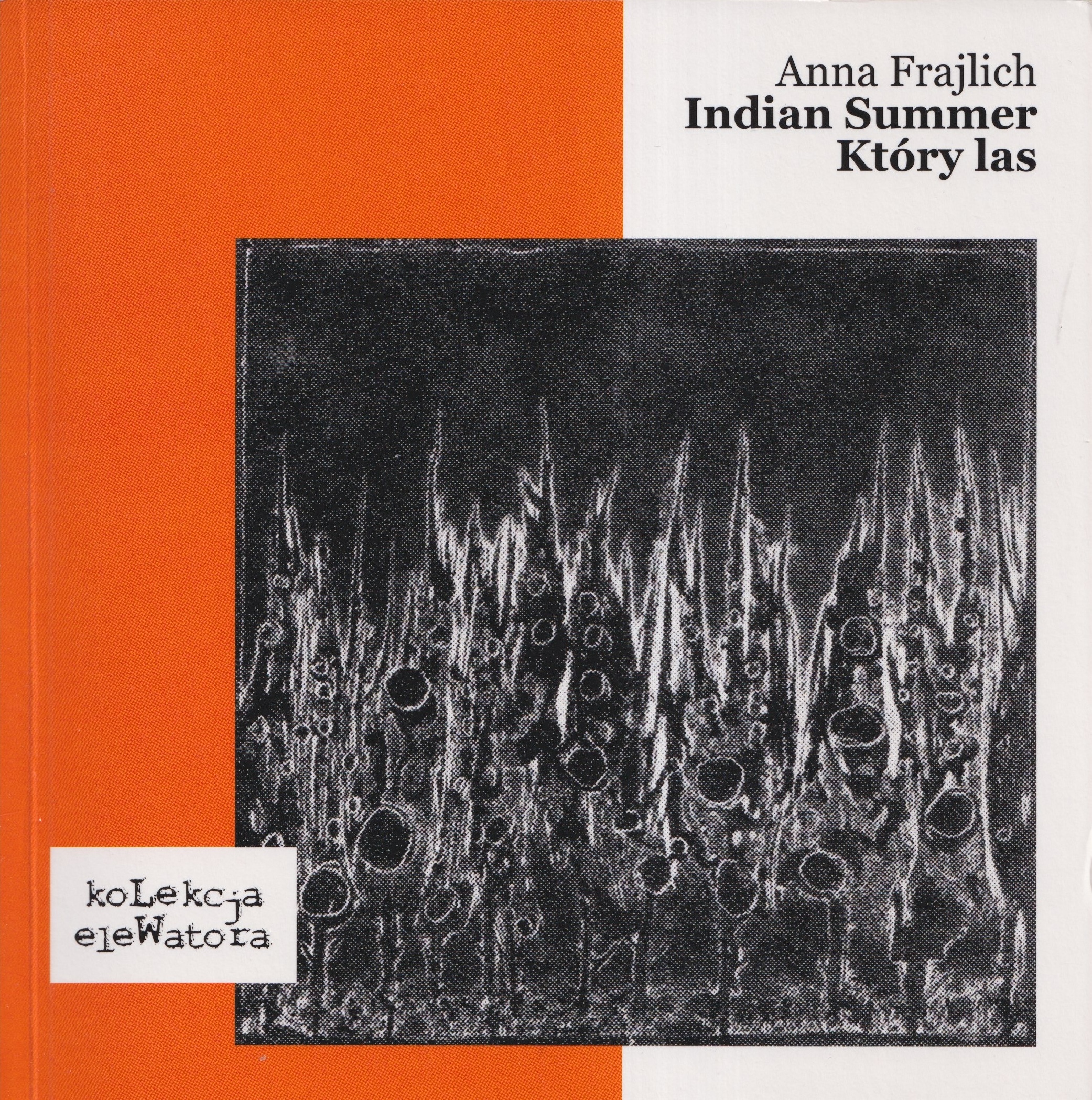 Indian Summer - Który las