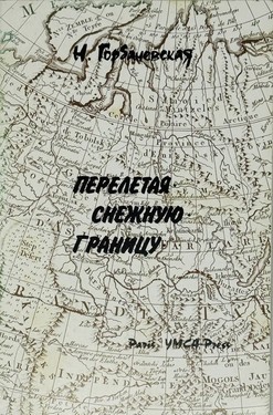 Перелетая снежную границу