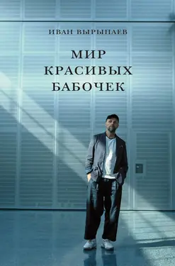 Мир красивых бабочек