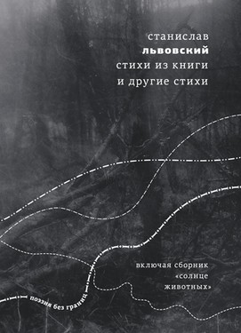 Стихи из книги и другие стихи