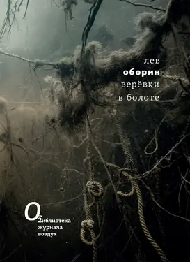 Верёвки в болоте
